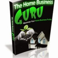 The Home Business Guru